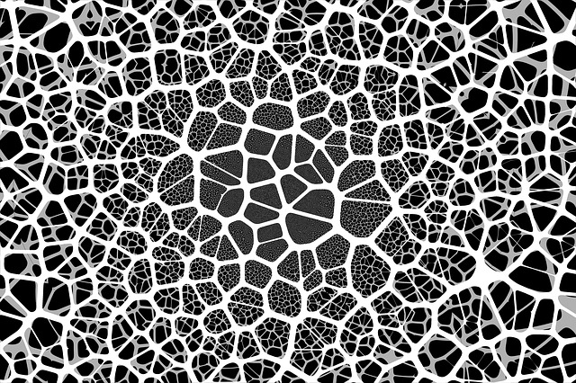 网络 社会的 神经元 - 上的免费图片