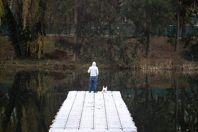 人 沉思 背部 - 上的免费照片