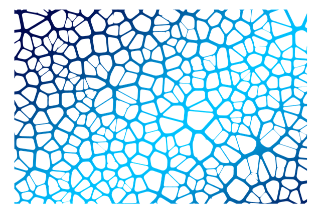 网络 社会的 神经元 - 上的免费图片