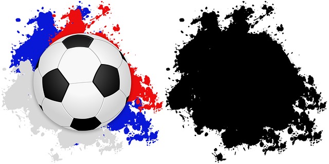 世界杯 足球 足球世界杯 - 上的免费图片