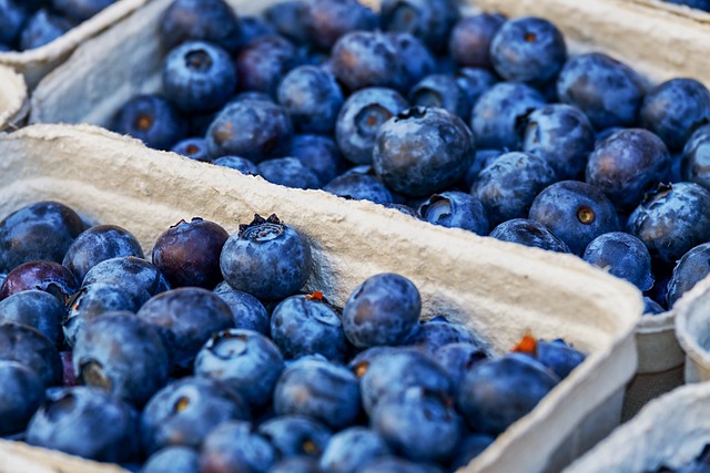 蓝莓 浆果 水果 - 上的免费照片