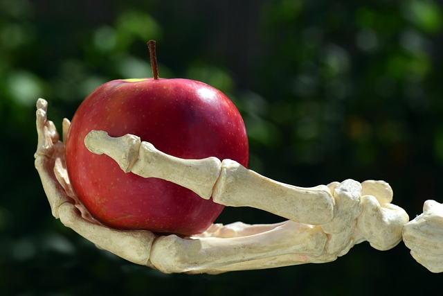 苹果 手 骨 - 上的免费照片