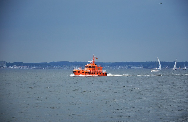 Bülk 飞行员 - 上的免费照片