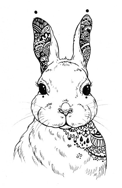 兔子 曼荼罗 曼陀罗图 - 上的免费图片