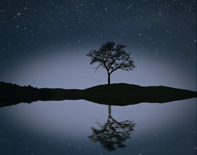 夜晚 景观 平静的 - 上的免费照片