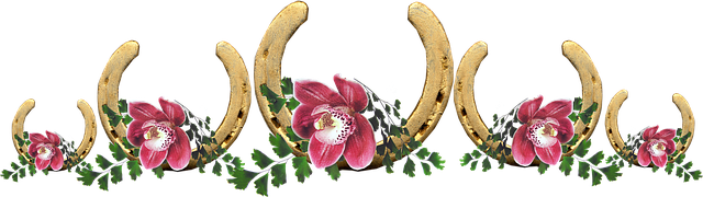 幸运的 马鞋 兰花 - 上的免费照片