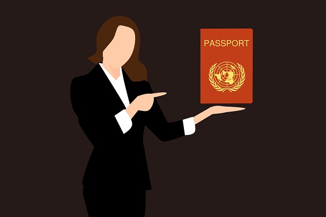 护照的印章 旅行 护照封面 - 上的免费图片