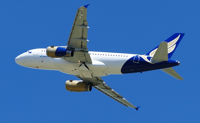 飞机场 苏黎世 球 - 上的免费照片