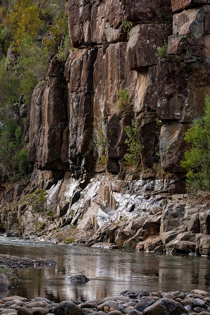 澳大利亚 塔斯马尼亚 白蛉 - 上的免费照片