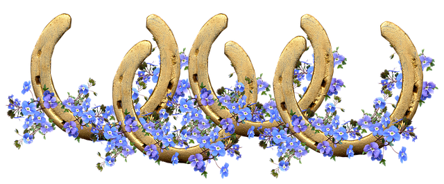 马鞋 幸运的 蓝色花朵 - 上的免费照片