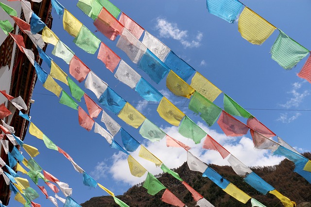 牛背山 旅游 - 上的免费照片