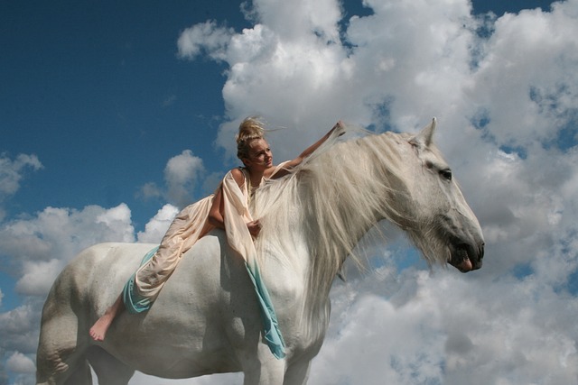 骑士 女孩 马 - 上的免费照片
