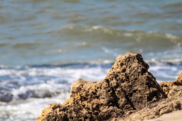 水 海滨 海 - 上的免费照片