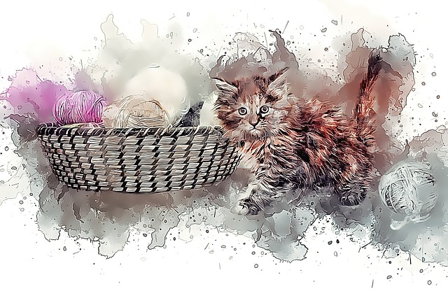 猫 年轻的猫 小猫 - 上的免费图片