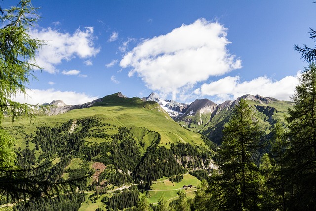 Hohe Tauern 山 林 - 上的免费照片