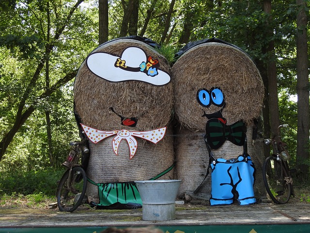 滚珠宝 装饰的农场 业主 - 上的免费照片