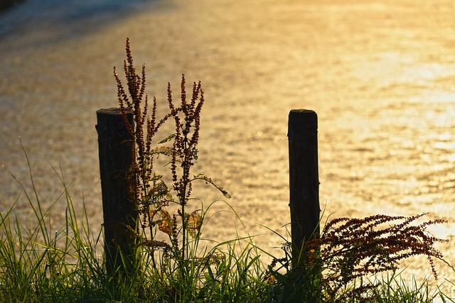 邮政 沟 水 - 上的免费照片