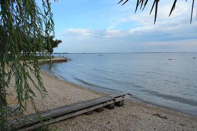 Neusiedler 见 滨湖新锡德尔 新锡德尔湖 - 上的免费照片