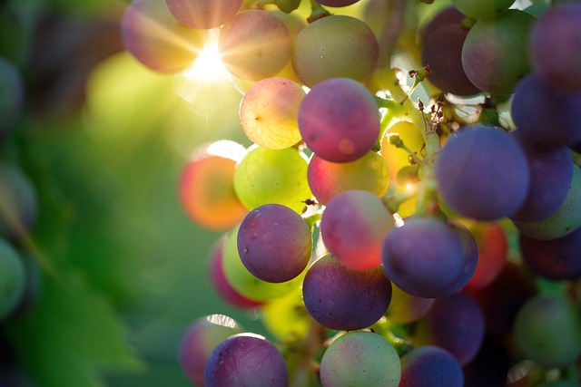葡萄 水果 食物 - 上的免费照片