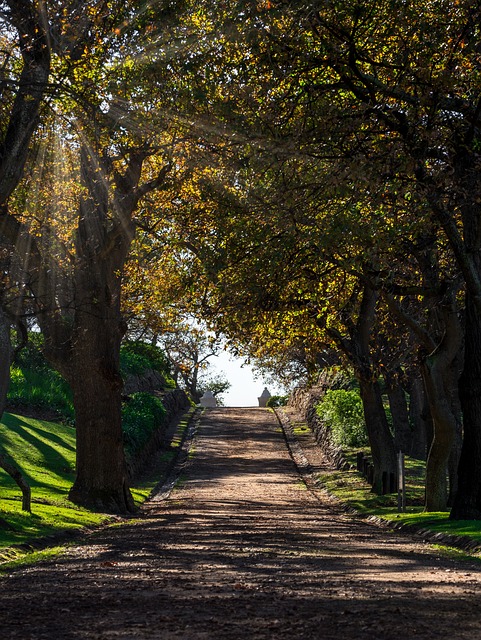 驾驶 车道 入口 - 上的免费照片