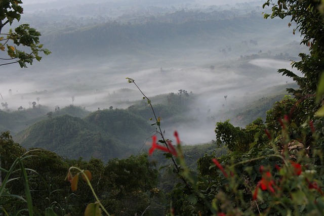 自然 Sajek谷 - 上的免费照片