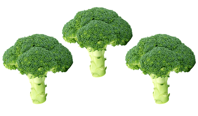 西兰花Png 蔬菜 绿色 - 上的免费照片