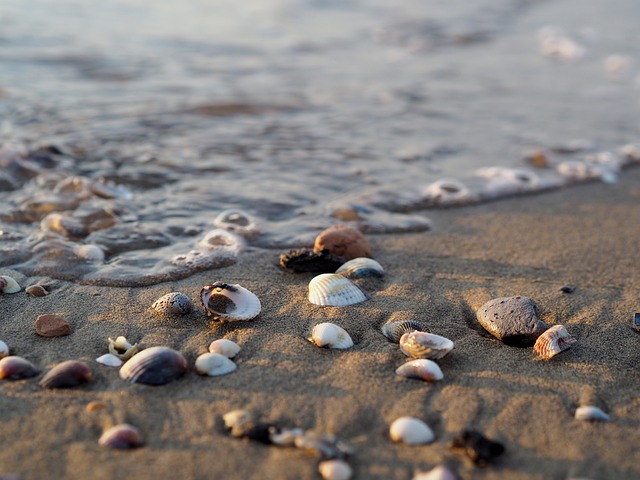 海 水 海滩 - 上的免费照片