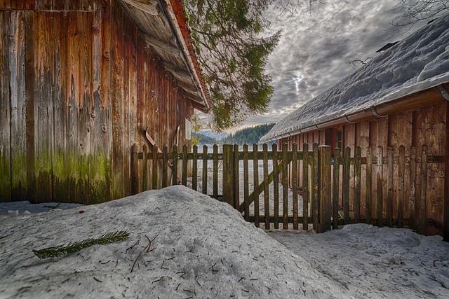 Spitzingsee 雪 情绪 - 上的免费照片