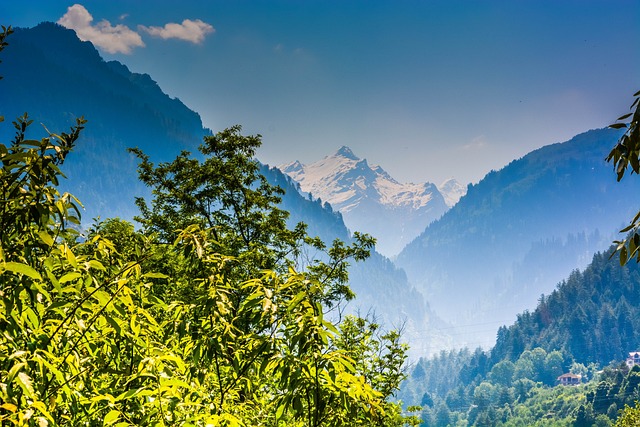 喜马拉雅山 马纳利 徒步旅行 - 上的免费照片