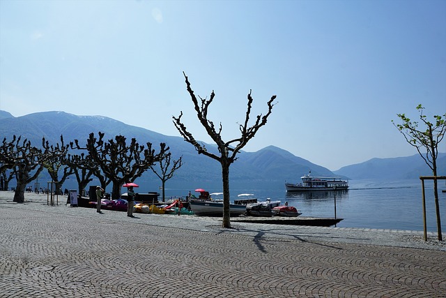 阿斯科纳（Ascona） 电影 节日 - 上的免费照片