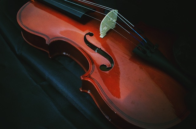 小提琴 音乐 设计 - 上的免费照片