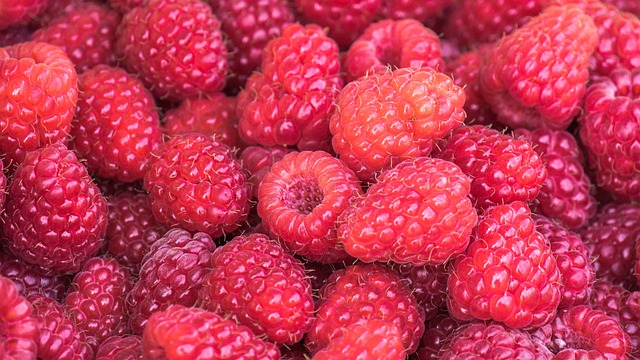 山莓 水果 食物 - 上的免费照片
