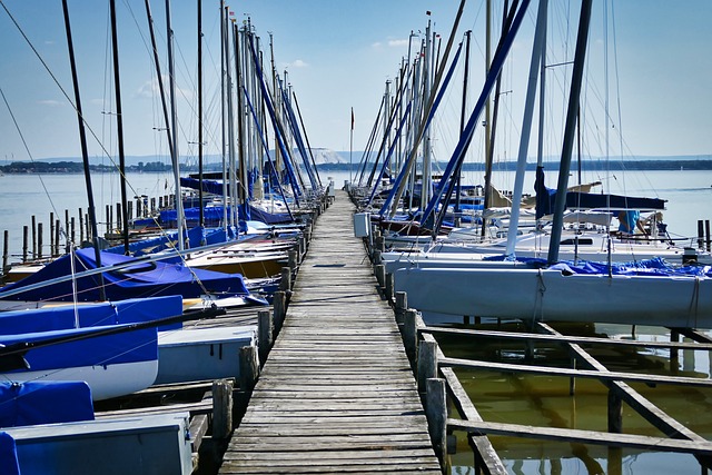 湖 斯蒂格 Steinhuder 海 - 上的免费照片