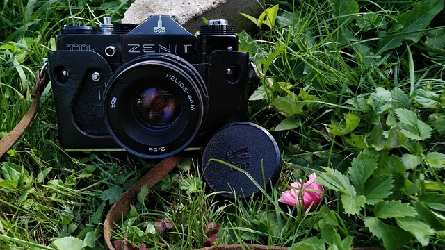 天顶 不经过滤 相机 - 上的免费照片