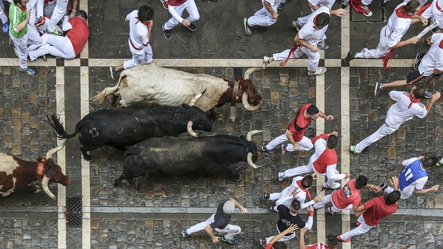 Sanfermín Sanfermines - 上的免费照片