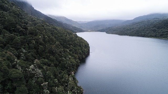 Laguna De San Marcos 卡扬贝 - 上的免费照片