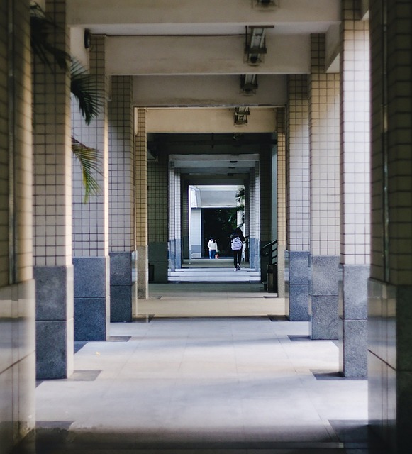 大学 走廊 - 上的免费照片