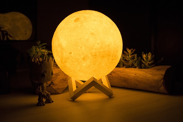 月亮 自然 Groot - 上的免费照片