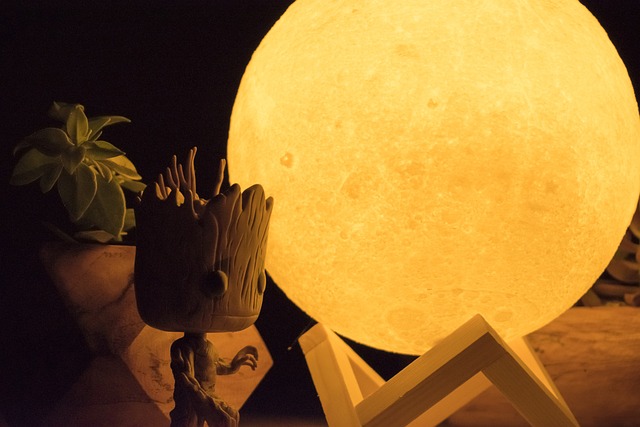 月亮 自然 Groot - 上的免费照片