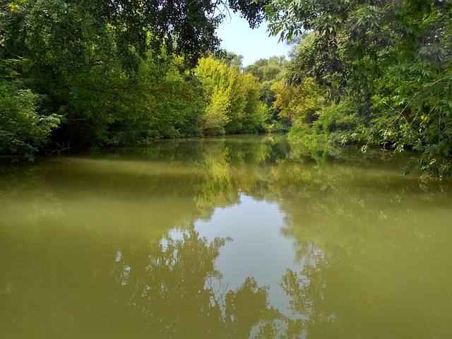 匈牙利 清澈的湖水 沼泽 - 上的免费照片