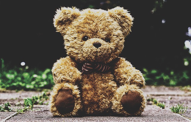 泰迪熊 填充玩具动物 毛茸茸的泰迪熊 - 上的免费照片