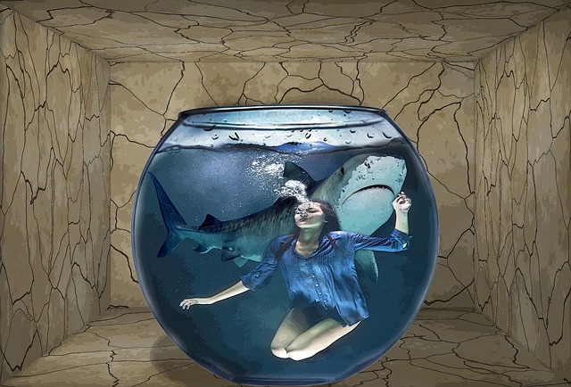 鲨鱼 女孩 恶梦 - 上的免费图片