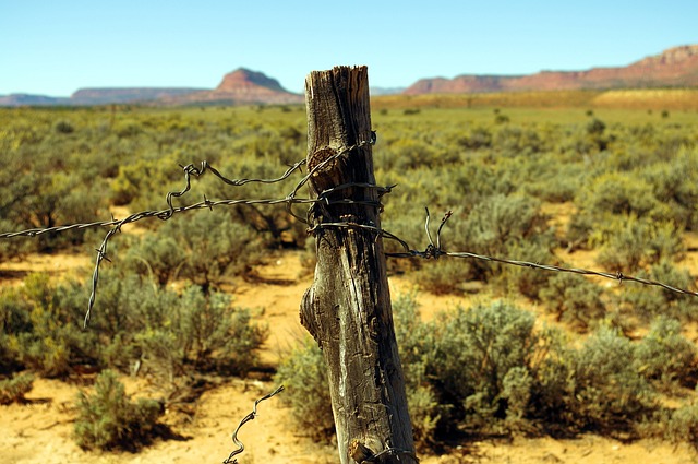 大楼梯Escalante 国家纪念碑 景观 - 上的免费照片