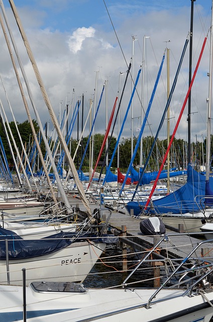 Steinhuder 海 Mardorf 网络 - 上的免费照片