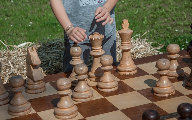 棋 棋牌 典当 - 上的免费照片
