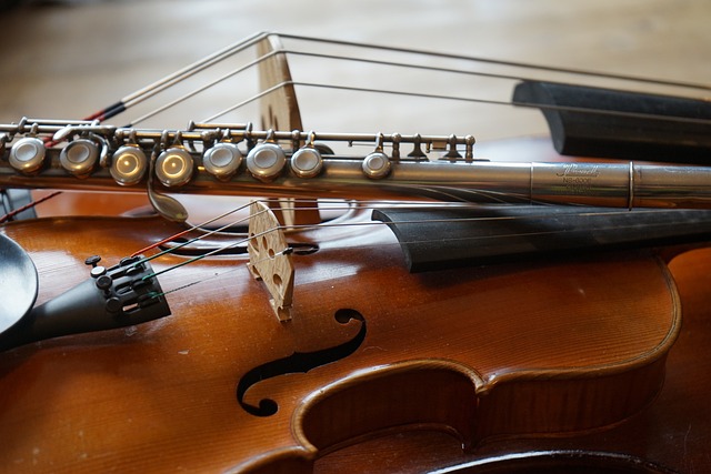 小提琴 低音提琴 长笛 - 上的免费照片
