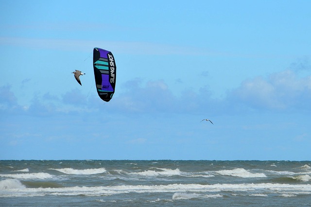 海 海滩 斯特拉海滩 Hauts De - 上的免费照片