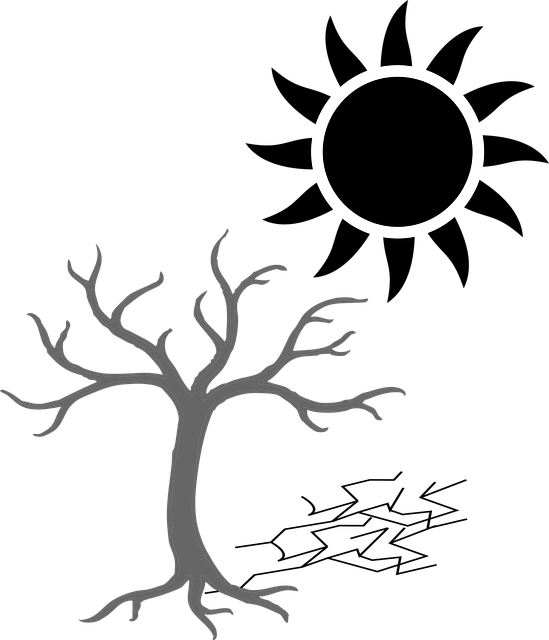 热浪 干旱 改变 - 免费矢量图形