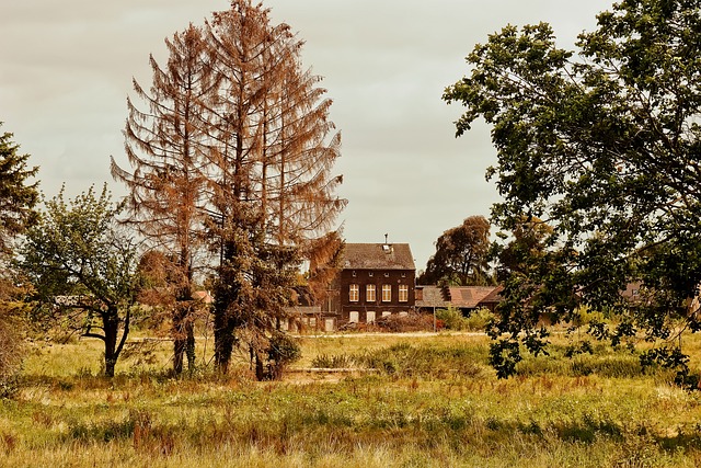 丢失的地方 房子 弃 - 上的免费照片