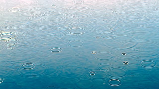 雨滴 水坑 雨 - 上的免费照片